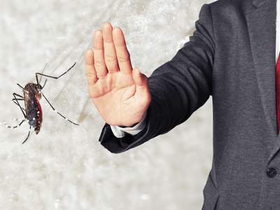 About Orlando Pest Control - 24 hour pest control experts in Orlando