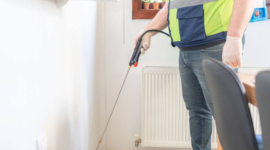 Professional 24 hour pest control services in Orlando